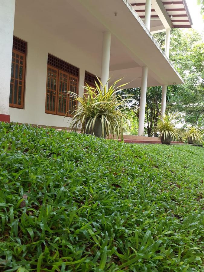 Yonara Rest * Habarana