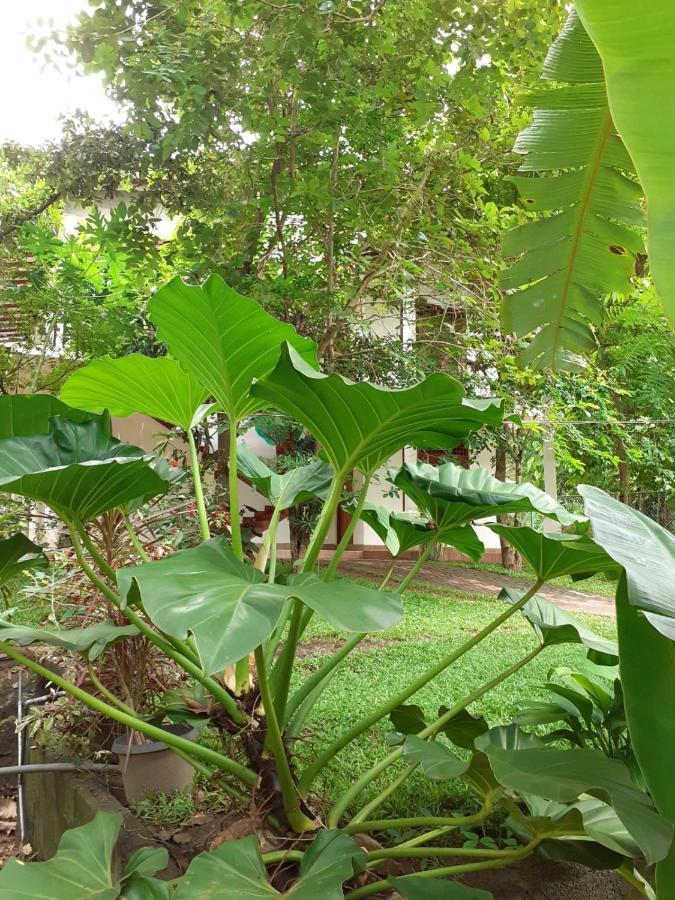 Yonara Rest Apartamento Habarana